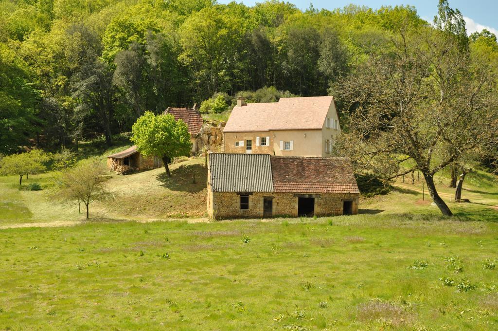 Gite Chez Le Gaulois Carsac-Aillac Exterior foto